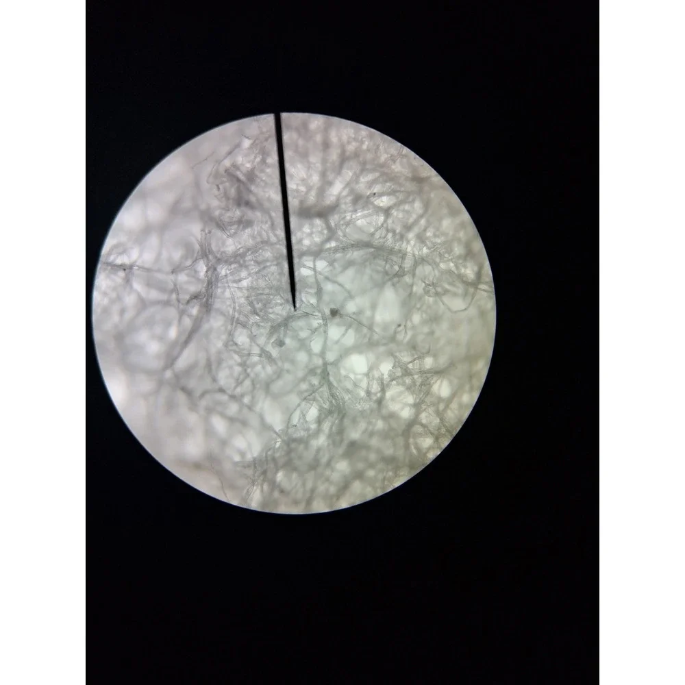 LW Scientific Observer Series Microscope - 4 Lenses Up To 100x